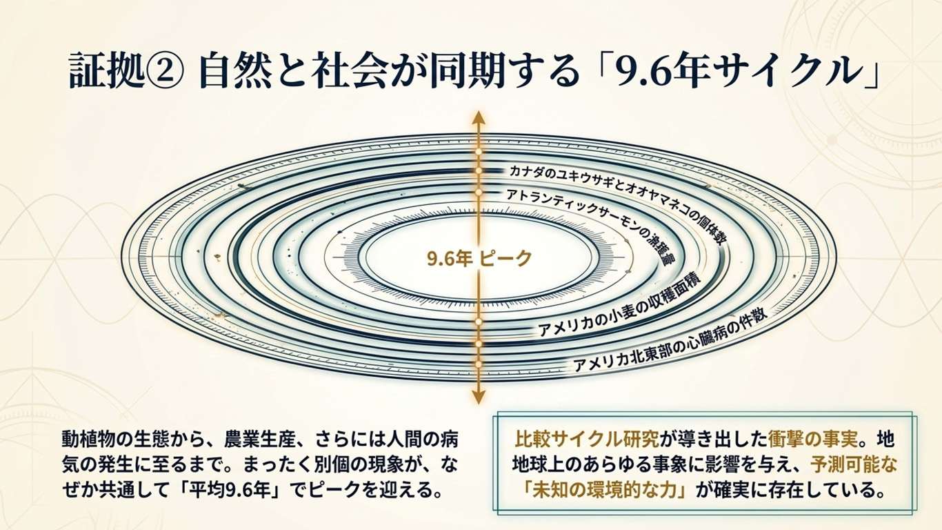 �����ȼҲ�Ʊ������9.6ǯ��������